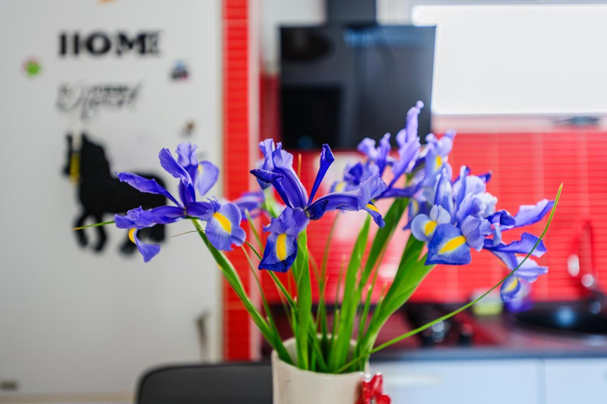 Fancy Apartment - Near The Zadar Bridge Bagian luar foto